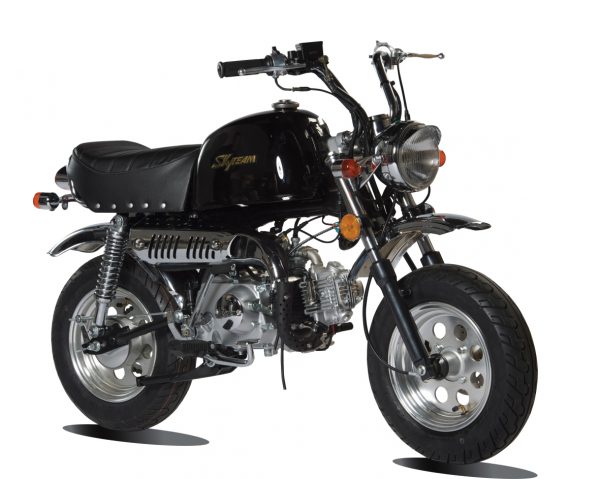 Skyteam Bongo 125cc